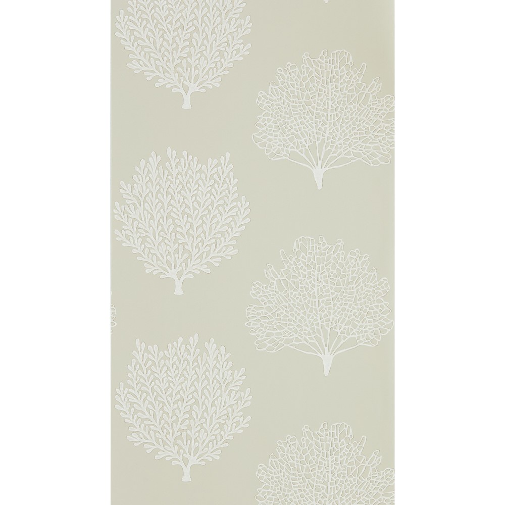 Coraline Wallpaper 216574 by Sanderson in Driftwood Brown